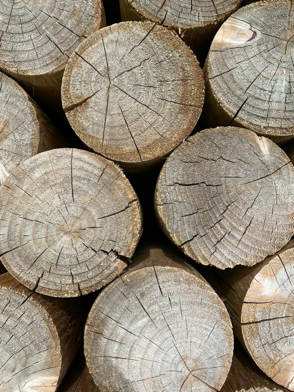 Eco-friendly building materials